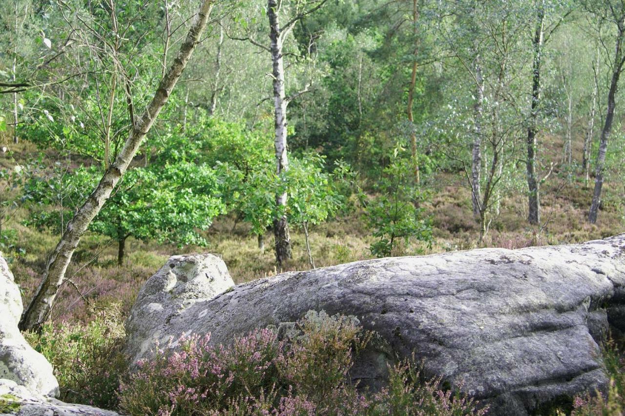 Le Lodge Des Bruyeres Mont-Notre-Dame Buitenkant foto