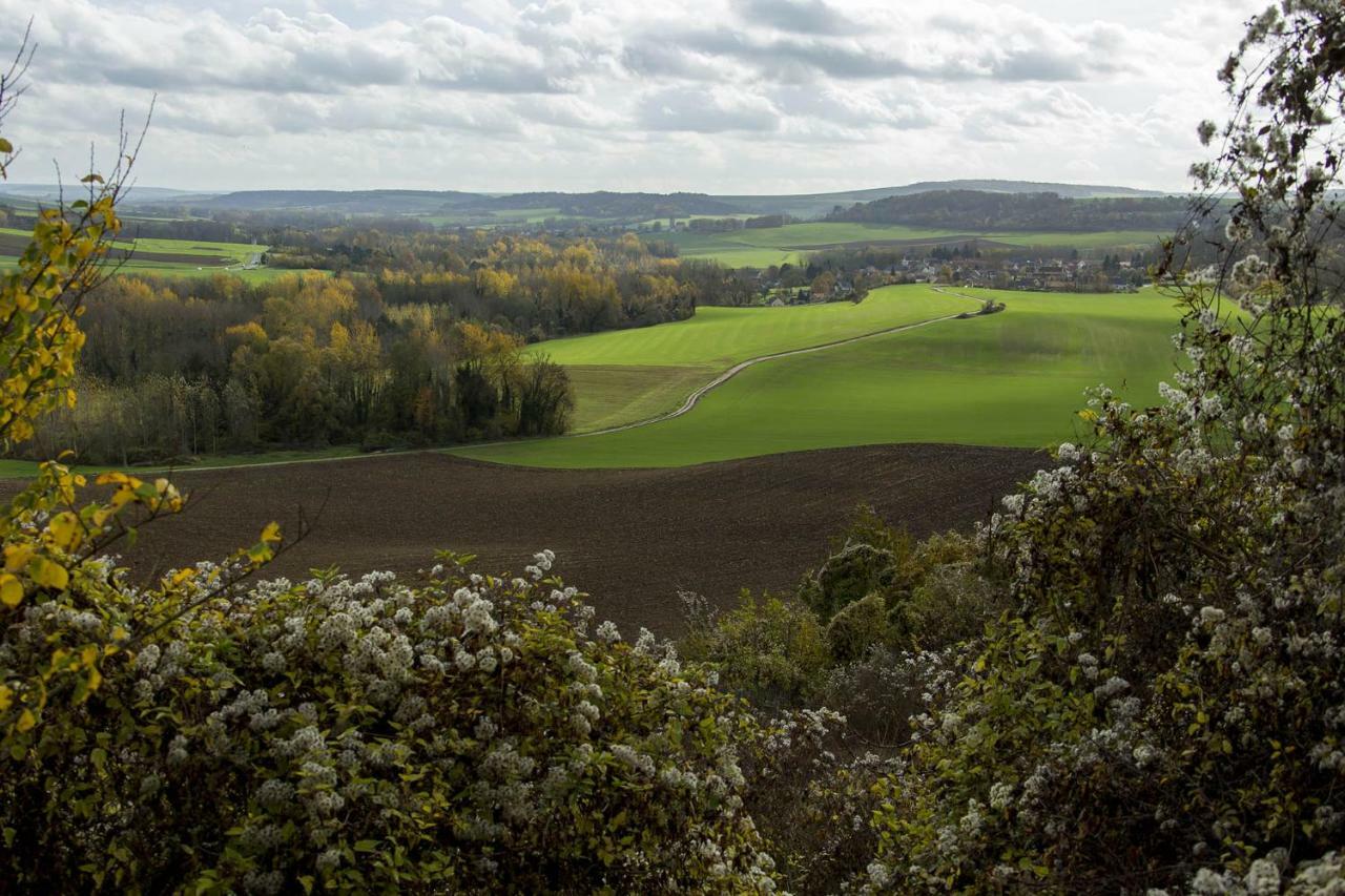 Le Lodge Des Bruyeres Mont-Notre-Dame Buitenkant foto